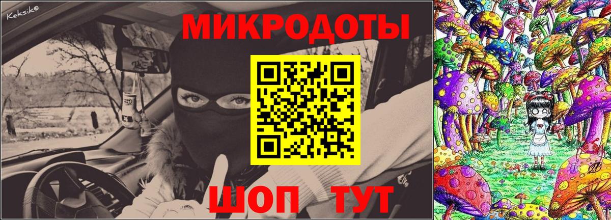 Псилоцибиновые грибы Psilocybe Бахчисарай